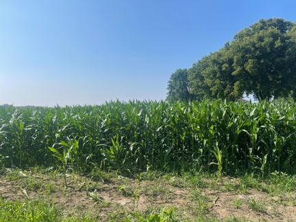 Undeveloped Land for sale in Pierce County, Wisconsin