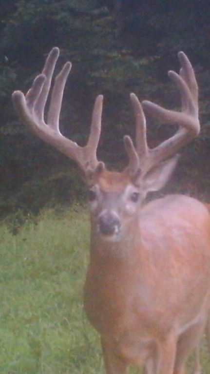 Property for sale in Grayson County, Kentucky