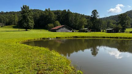 Timberland Property for sale in Wilkes County, North Carolina