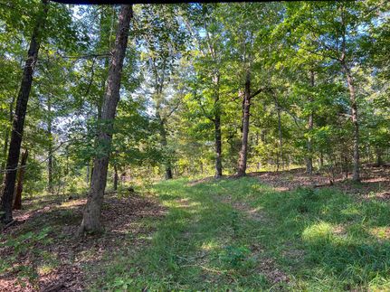 Timberland Property for sale in Howell County, Missouri