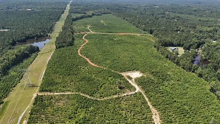 Property for sale in Bibb County, Georgia