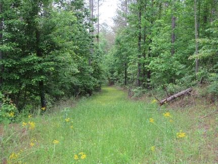 Timberland Property for sale in Winston County, Alabama