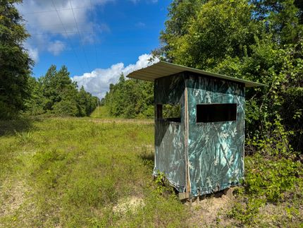 Property for sale in Cass County, Texas