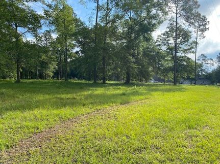 Undeveloped Land for sale in Union County, Florida