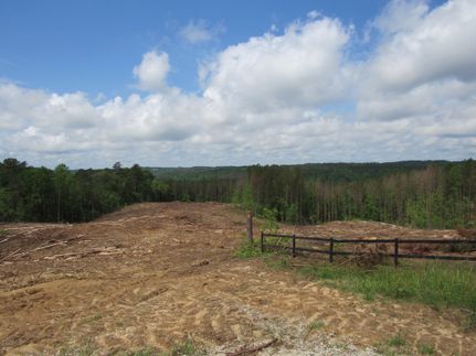 Property for sale in Winston County, Alabama