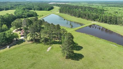Property for sale in Barbour County, Alabama