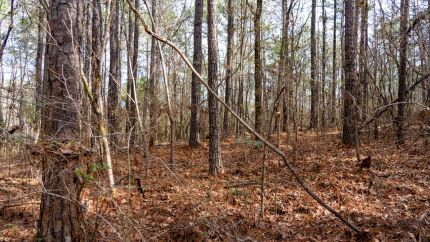 Residential Property for sale in Shelby County, Alabama