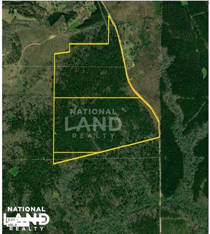 Undeveloped Land for sale in Lee County, Alabama