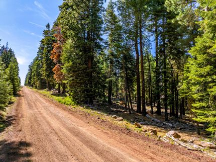 Undeveloped Land for sale in Modoc County, California