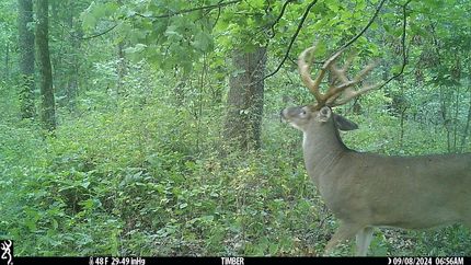 Property in Hancock County, Illinois