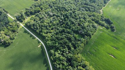 Hunting Land for sale in Pike County, Illinois