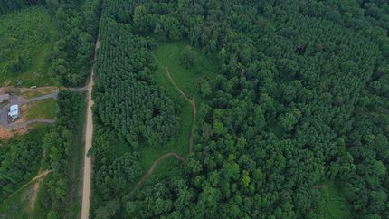 Property for sale in Etowah County, Alabama