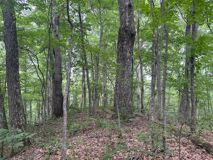 Property for sale in Wayne County, West Virginia