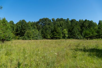Hunting Land for sale in Houston County, Georgia