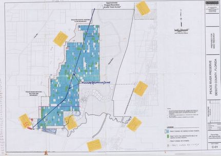 Ranch Property for sale in DeSoto County, Florida
