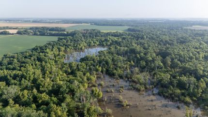 Property in Phillips County, Arkansas