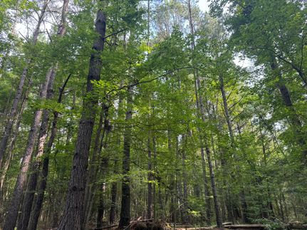 Property in Grant Parish, Louisiana