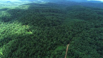 Undeveloped Land for sale in Sainte Genevieve County, Missouri