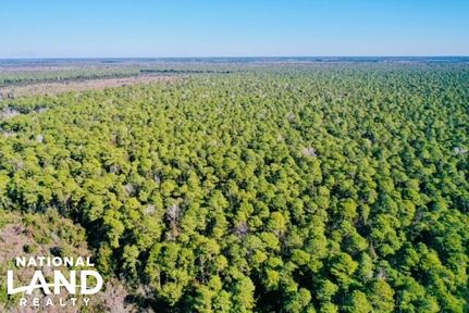 Property in Pamlico County, North Carolina