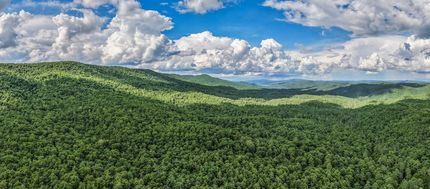 Timberland Property for sale in Pocahontas County, West Virginia