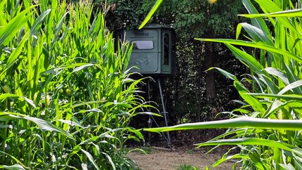 Property for sale in Jefferson County, Indiana