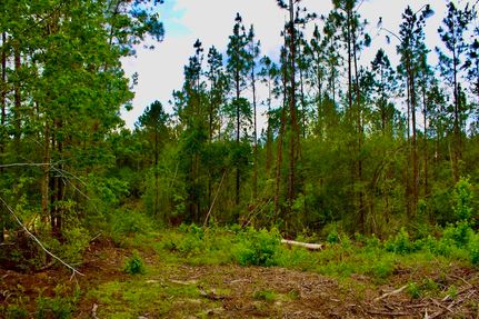 Property for sale in Walthall County, Mississippi