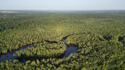 Property in Mobile County, Alabama