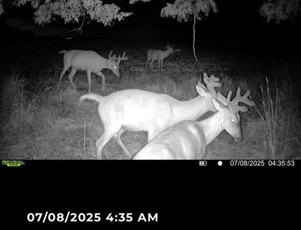 Property in Pepin County, Wisconsin