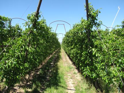 Property for sale in Benton County, Washington