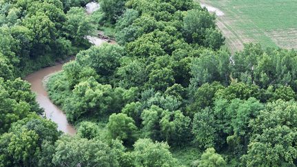 Property for sale in Knox County, Illinois