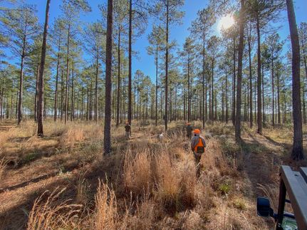 Property for sale in Crenshaw County, Alabama