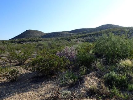 Property for sale in Terrell County, Texas