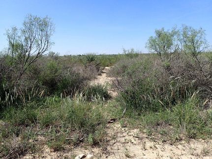 Property for sale in Terrell County, Texas