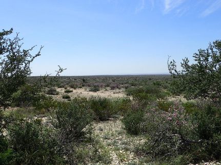 Property for sale in Terrell County, Texas