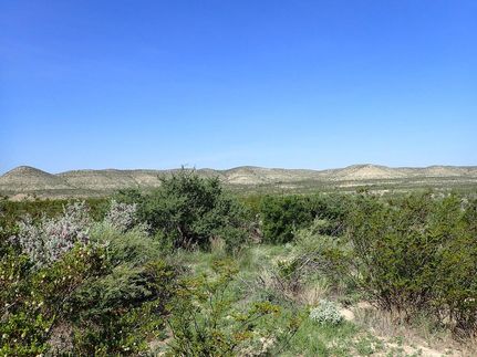 Ranch Property for sale in Terrell County, Texas