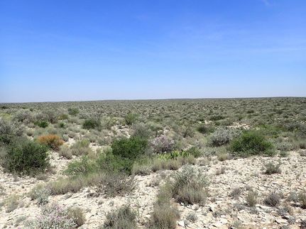 Property for sale in Terrell County, Texas