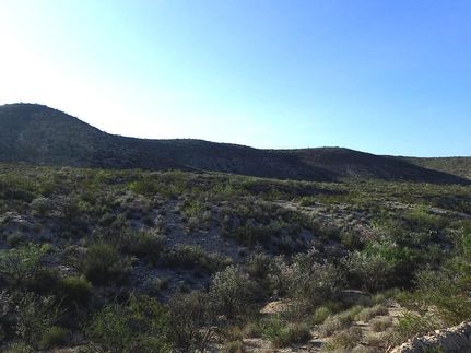 Property for sale in Terrell County, Texas