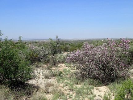 Property for sale in Terrell County, Texas