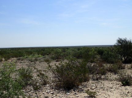 Ranch Property for sale in Terrell County, Texas