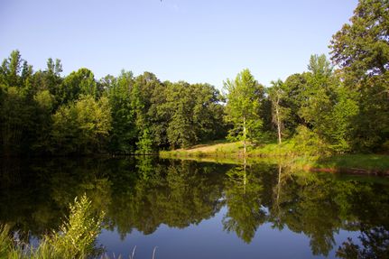 Property in Fayette County, Tennessee