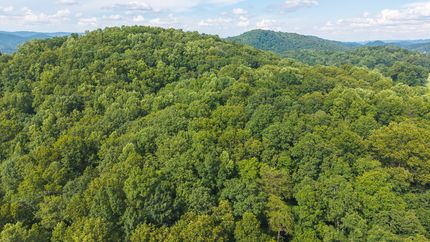 Property for sale in Hawkins County, Tennessee