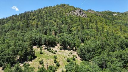 Property for sale in Sierra County, California