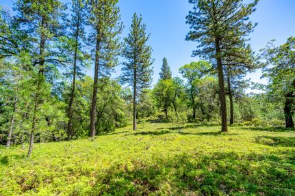 Property for sale in Amador County, California