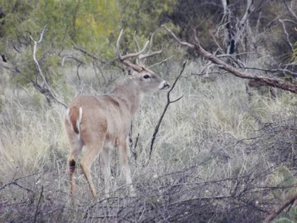 Property for sale in Tom Green County, Texas