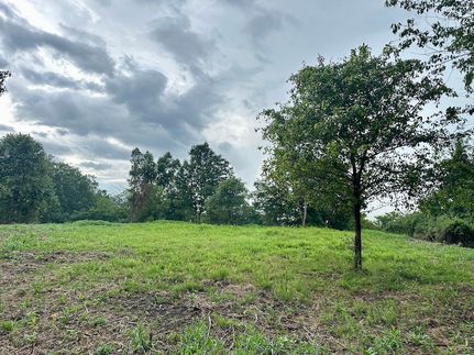 Property for sale in Wayne County, West Virginia