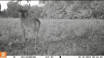 Property in Lyon County, Kentucky