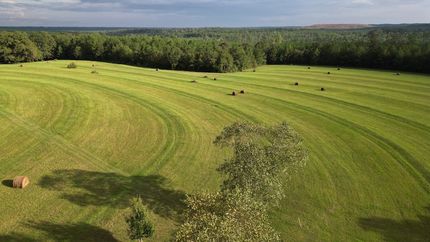 Property in Conecuh County, Alabama