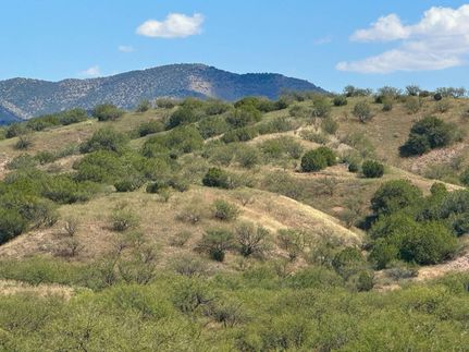 Property for sale in Santa Cruz County, Arizona