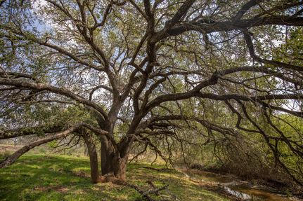 Property for sale in Atascosa County, Texas