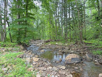 Undeveloped Land for sale in Summers County, West Virginia